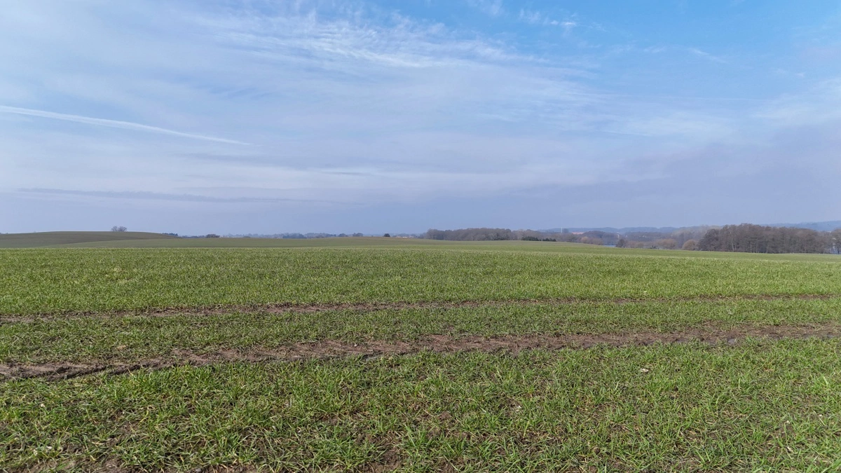 Vestjysk samler landmænd til debat om kvælstof, vand og velfærd. Arkivfoto: Erik Hansen