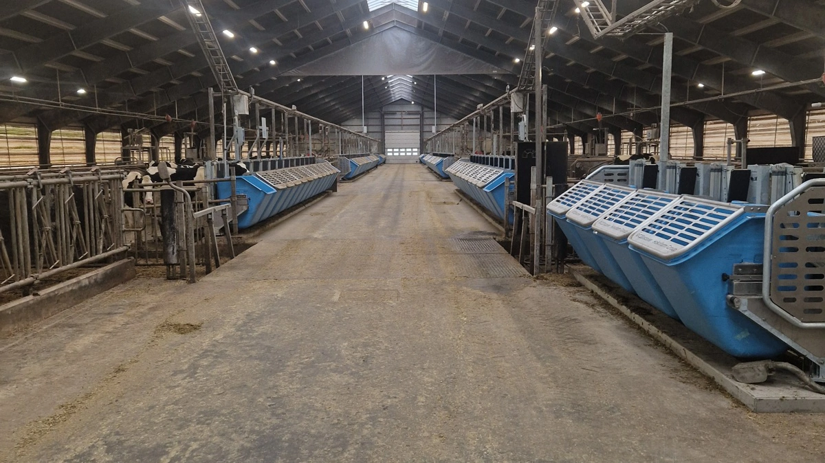 De nye Insentec-foderkasser på DKC bruges til individuel fodring og registrering af data i forsøg med malkekøer. Fotos: Jesper Rais/AU