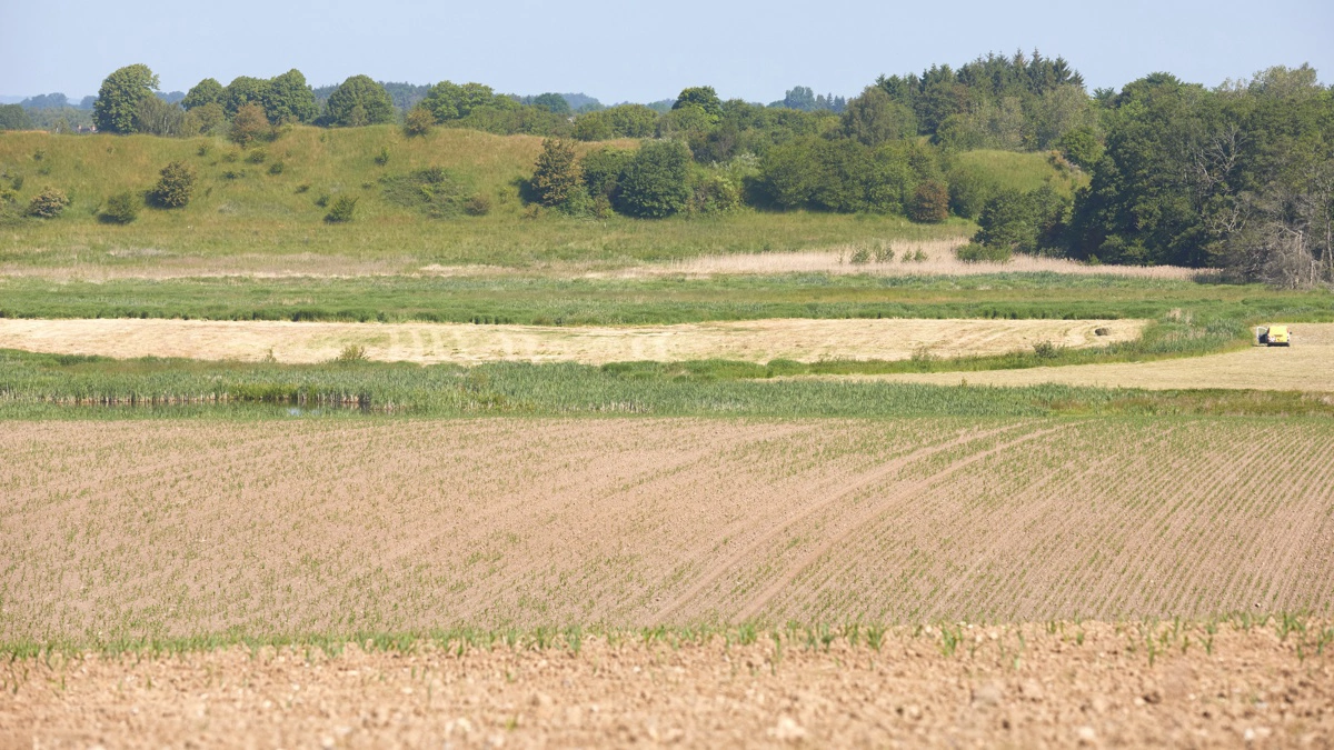 Liberal Alliance definerer »ny vækst på landet« som grøn og bæredygtig udvikling, der kan erstatte den traditionelle vækst. Arkivfoto: Erik Hansen