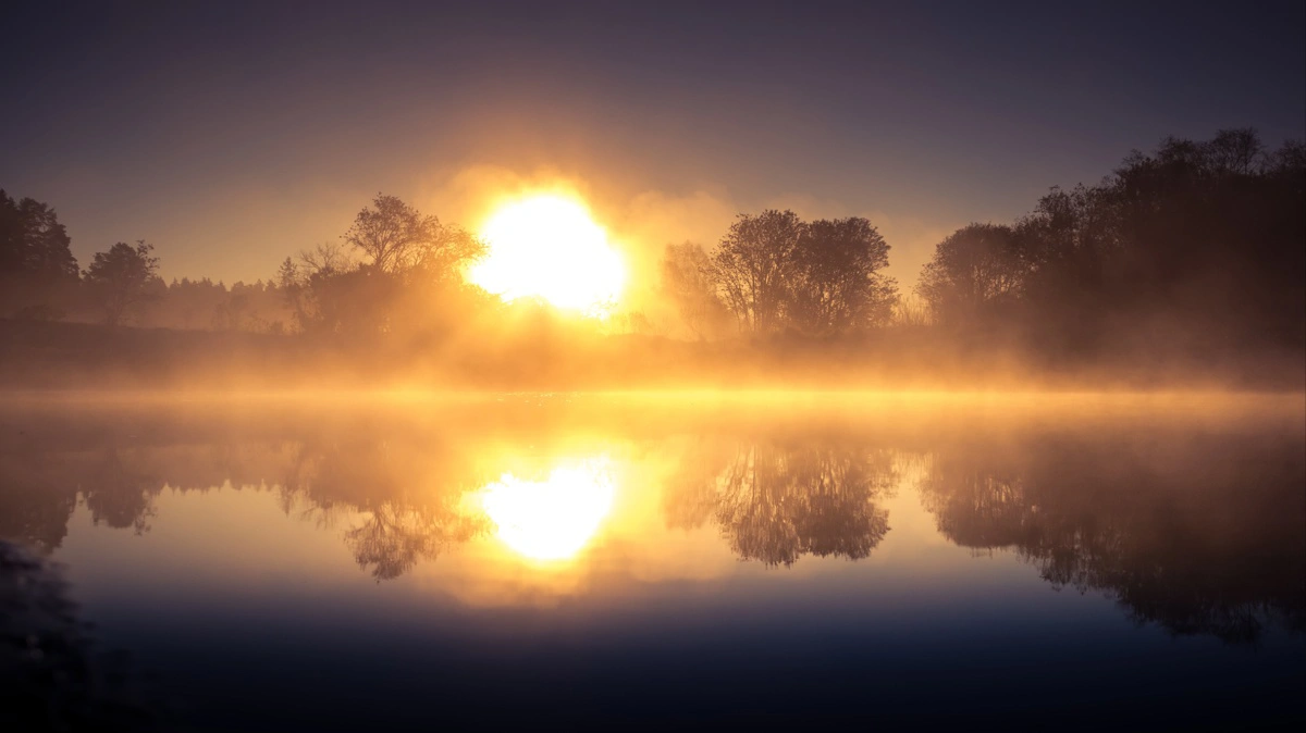 Pinsesolen danser. Foto: Colourbox
