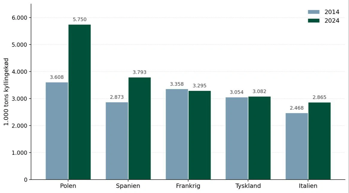 Figur 2: Udvikling i produktionen af kyllingekød blandt de fem største producentlande i EU. Frankrig var i 2024 hårdt ramt af fugleinfluenza, hvilket påvirkede produktionen. Produktionen var således reelt højere, end det fremgår af figuren. Kilde: EU-Kommissionen, Agridata (DG AGRI)