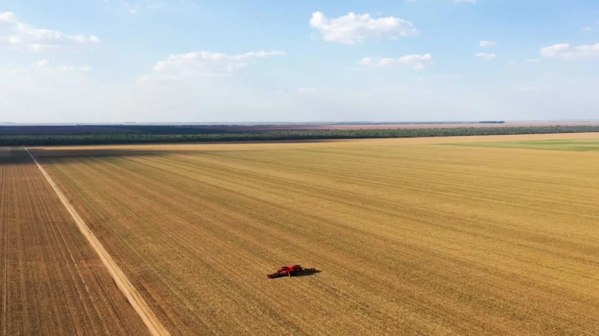 Mercosur-landene - herunder Brasilien - får øget adgang til EU, mens dansk agroeksport og teknologi styrkes via lavere told og større markedspotentiale. Arkivfoto: Jørgen P. Jensen