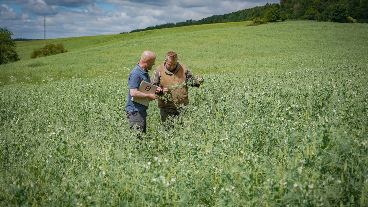 Dialogen og relationen mellem landmænd og rådgivere står helt centralt i projektet. Foto: Uffe Bregendahl
