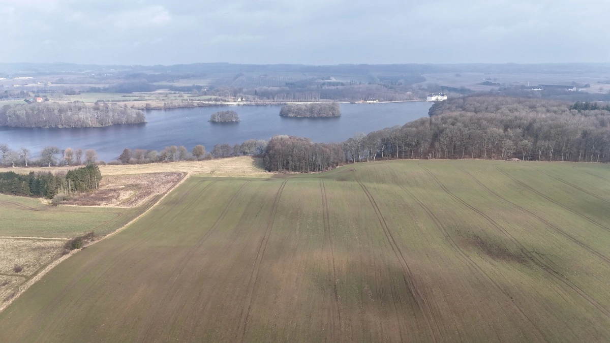 Fosfor betyder ifølge Anne Smet Andersen mere, end mange regner med. Arkivfoto
