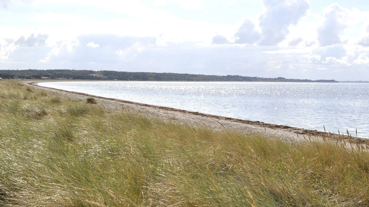 Pr. 15. april manglede der fortsat omkring 80.000 hektar målrettede efterafgrøder for at nå det samlede behov i 2026. Arkivfoto: Erik Hansen