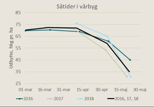 Treårig forsøgsrække viser, at udbyttet falder med sene såtider i vårbyg. Kilde: Seges Innovation