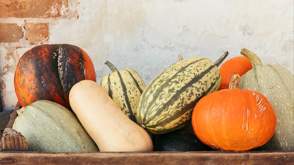 Dagrofa Foodservice og Aarstiderne Engros forener nu kræfterne for at få endnu flere økologiske råvarer på menuen i storkøkkener, kantiner og restauranter. Fotos: Dagrofa Foodservice