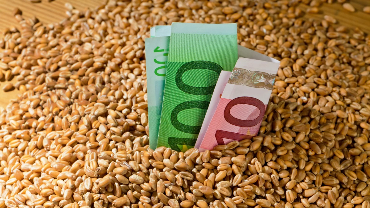 Realkredit til landbrug steg i 2025, domineret af DLR. Bedre økonomi øger konkurrence og kan give lavere lånevilkår. Foto: Colourbox