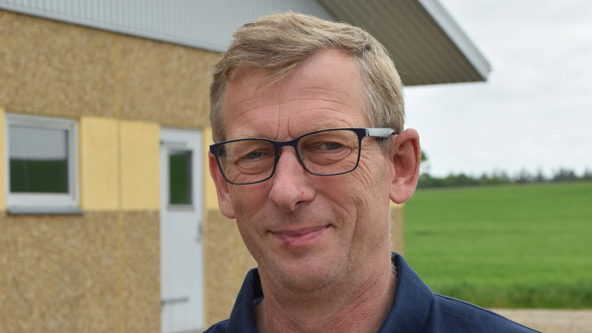 Rubenlund Agro, som Ulrik Bremholm ejer, producerer cirka 85.000 slagtesvin årligt. Arkivfoto