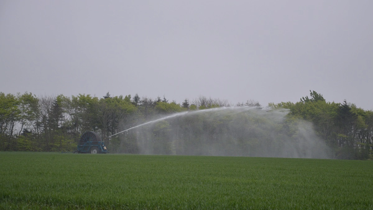 Det skal regnes ind, hvor lang tid det tager at komme rundt i afgrøderne med første vanding, så vandunderskuddet ikke når at blive for stort på de sidste marker. Arkivfoto: Camilla Bønløkke