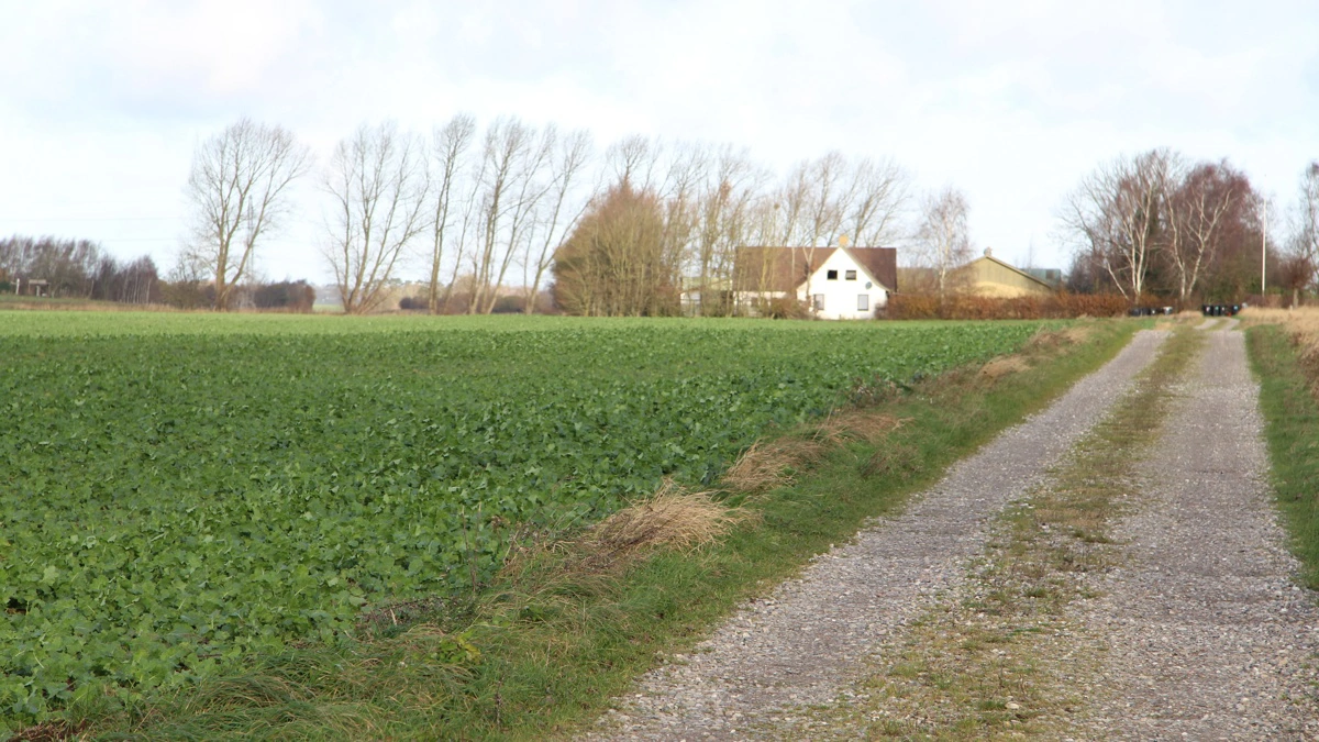 Idéen bag netværksgruppen er at få taget hul på de mange svære samtaler, der kan ligge og ulme. Skal vi flytte til en større by, skal vi rykke os tættere på børnene, eller skal vi blive boende med udsigt til markerne - uden selv at dyrke jorden? Arkivfoto: Anne Wolfenberg