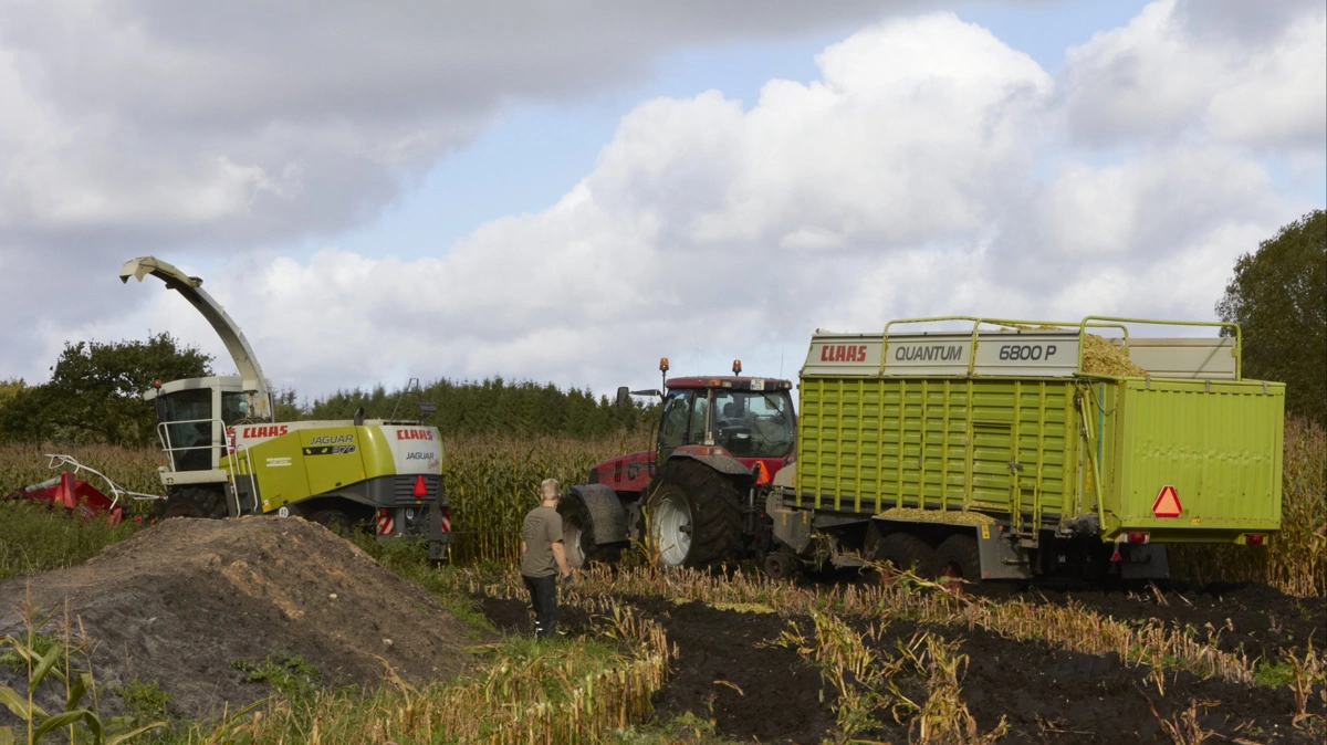 Dørken Maskinstation gik konkurs, men aktiviteter og kunder videreføres af ny lærling og kloakfirma under nye ejere. Arkivfoto: Bøje Østerlund