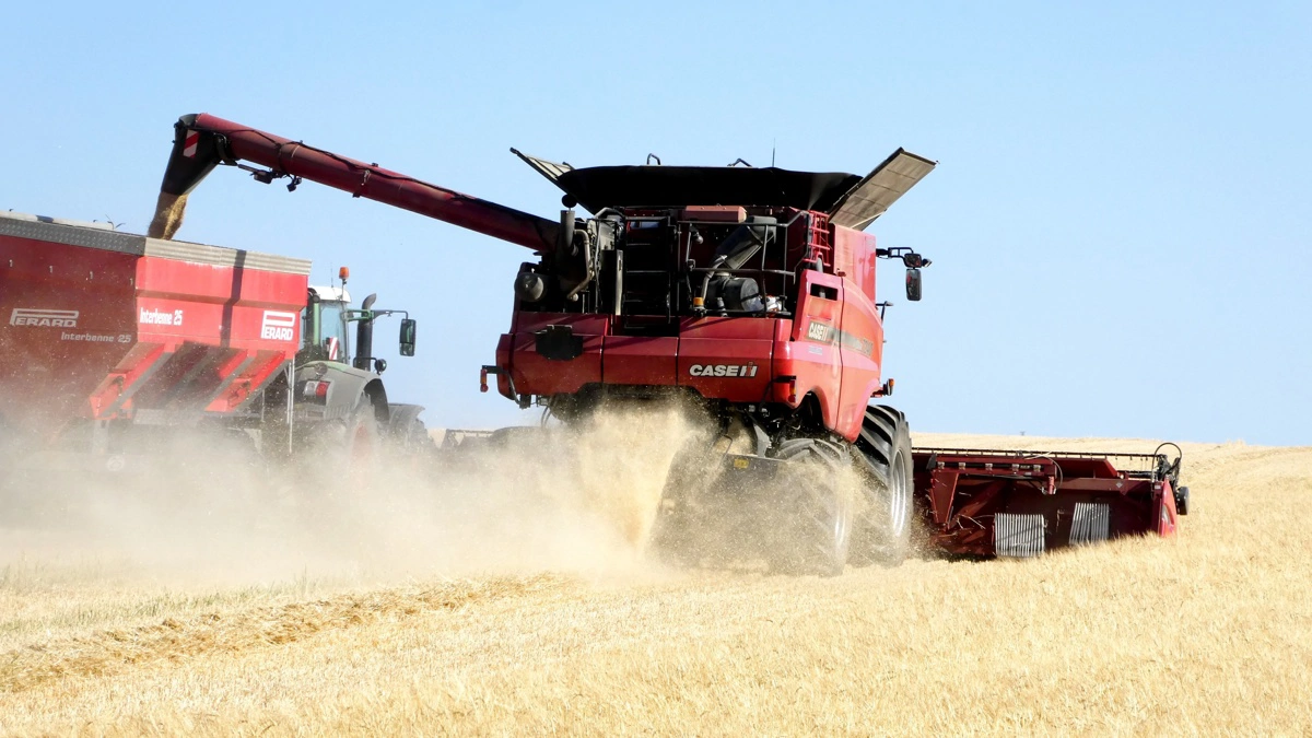 Kornprisfald presser Lantmännen Agro: Omsætning ned 15 procent, men effektiv drift og stor høst dæmper indtjeningsfaldet i 2025. Arkivfoto: Jørgen P. Jensen.