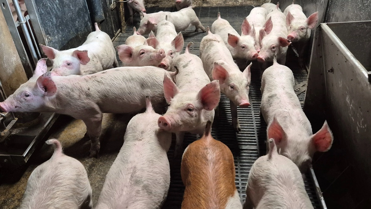 Arkivfoto: Tenna Bang