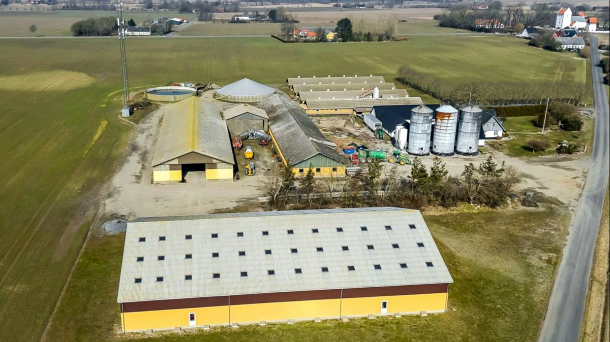 Interessen for de tre landbrug på Bornholm er betydelig ifølge ejendomsmægler Bent Holm fra Hekto og co. Her er den største af dem, Ø. Kirkebogaard ved Bodilsker med 226,2 hektar. Den koster 48,9 millioner kr. Fotos fra salgsopstillingen: Hekto & Co.
