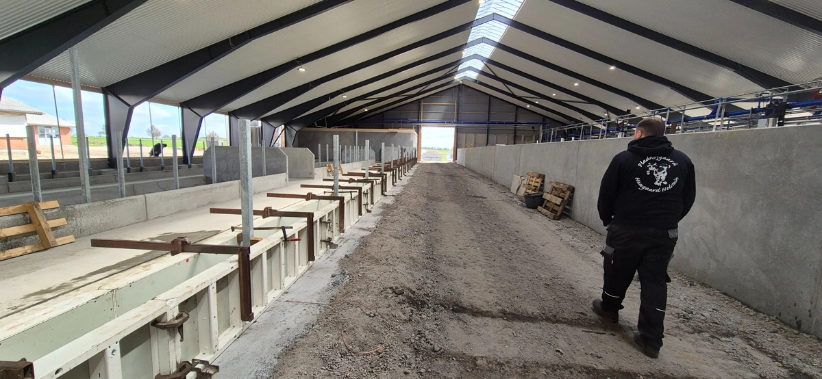 Byggeriet er i fuld gang. Bag muren til højre er opsamlingspladsen og malkerobotterne.