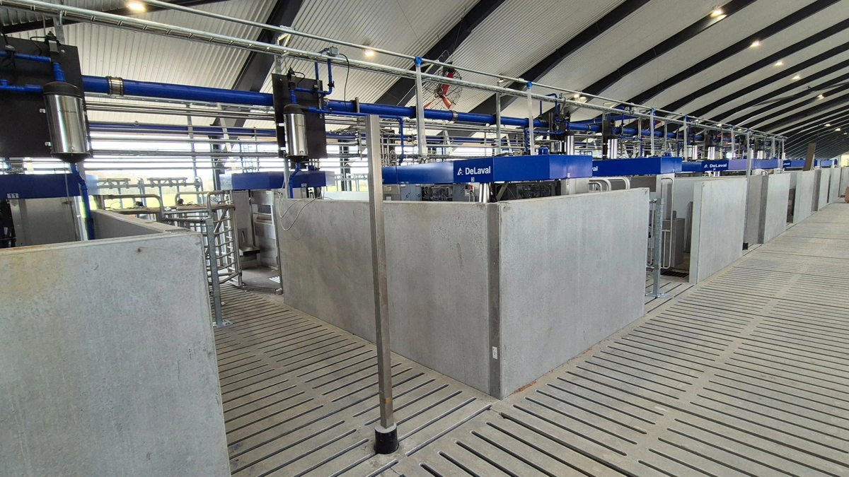 18 malkerobotter sættes i gang på Fladhøjgaard mandag den 11. maj. Fotos: Tenna Bang