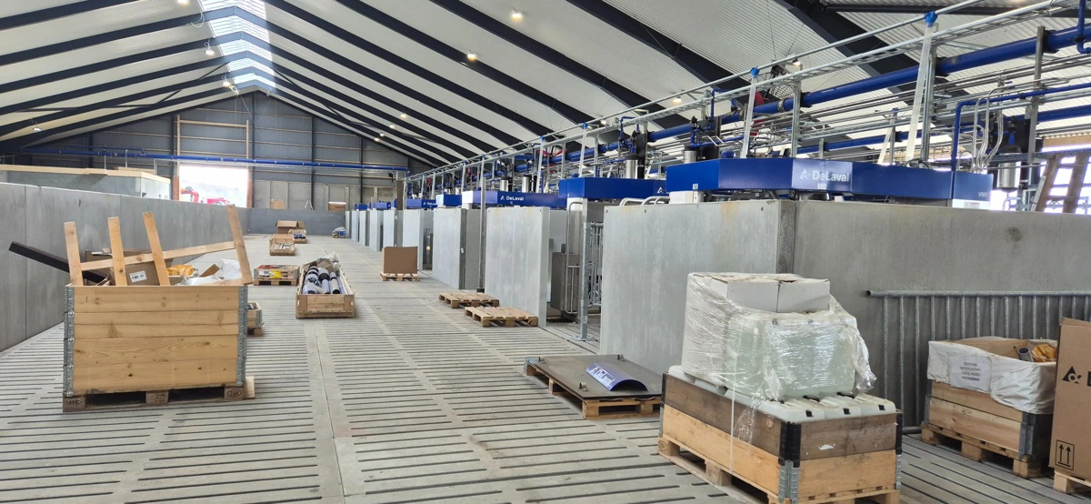 Opsamlingspladsen, hvor holdene lukkes ind et efter et.