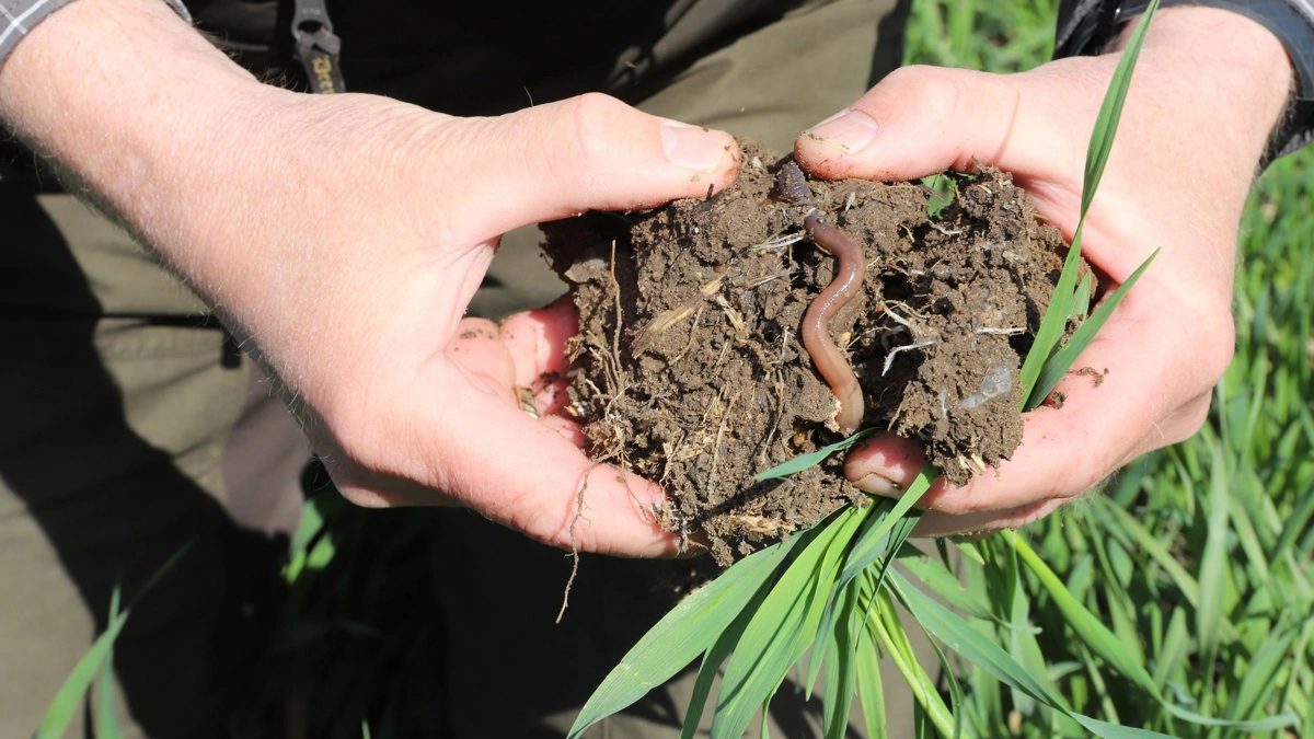 Både landbrugere og rådgiver giver den 7. maj et indblik i de mange aspekter af rejsen mod en sund jord. Foto: FRDK