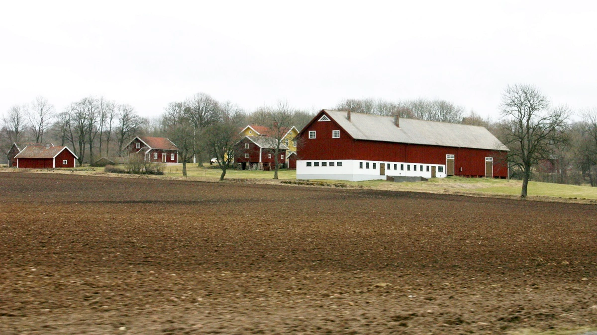 Den svenske stat er klar til at hjælpe landmænd med deres høje energiregninger. Arkivfoto