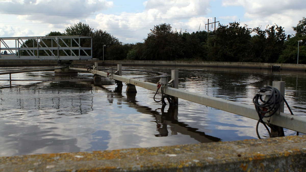 Hvad er egentlig årsagen til den dårlige økologiske tilstand i åer og vandløb i Danmark, udledninger fra landbruget eller urenset spildevand? Det er debatten fortsat bidsk omkring. Arkivfoto