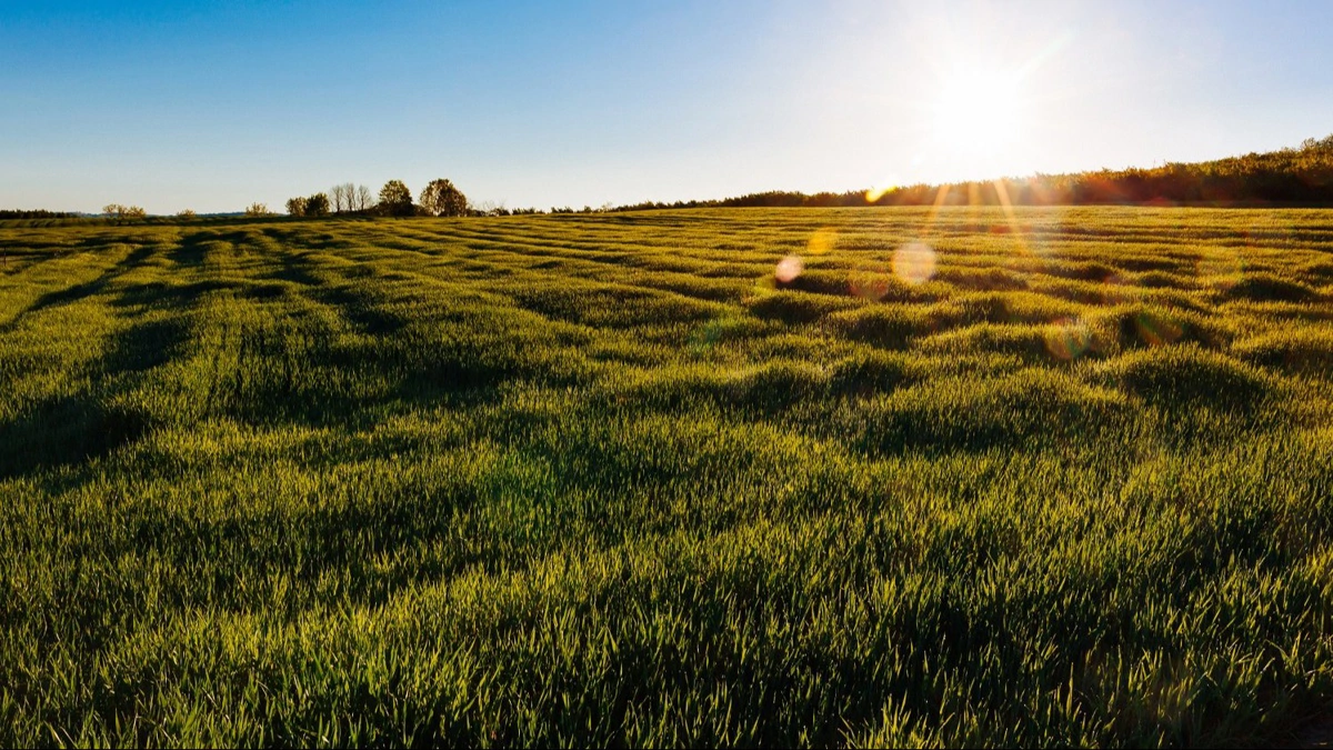 Food & Bio Cluster Denmark åbner rekordpulje på 88 mio. kr. til grøn innovation i landbrug og fødevarer. Fotos: Food & Bio Cluster Denmark