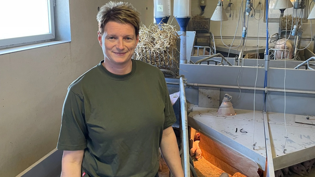 Sidsel Christensen, Skærumhede, tager sig fortrinsvis af arbejdet med de nyfødte i farestalden, mens hendes mand, Rolf Hansen, oftest klarer aftenvagten.