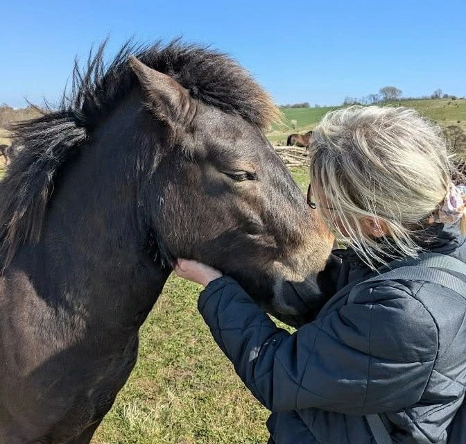 Dorthe Brauner Jensen med en hest i et rewildingprojekt. Privatfoto