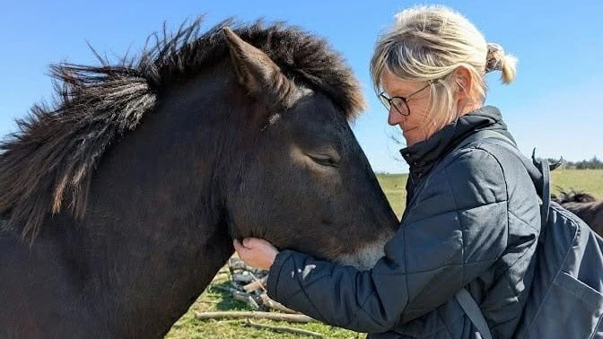 Dorthe Brauner Jensen og en hest i et rewildingprojekt. Privatfoto