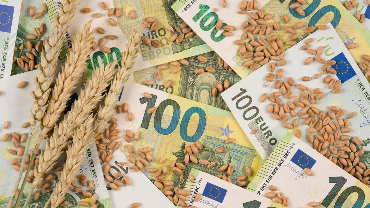 Faldende globale kornlagre og stigende forbrug styrker udsigten til højere priser på ny høst 2026. Foto: Colourbox