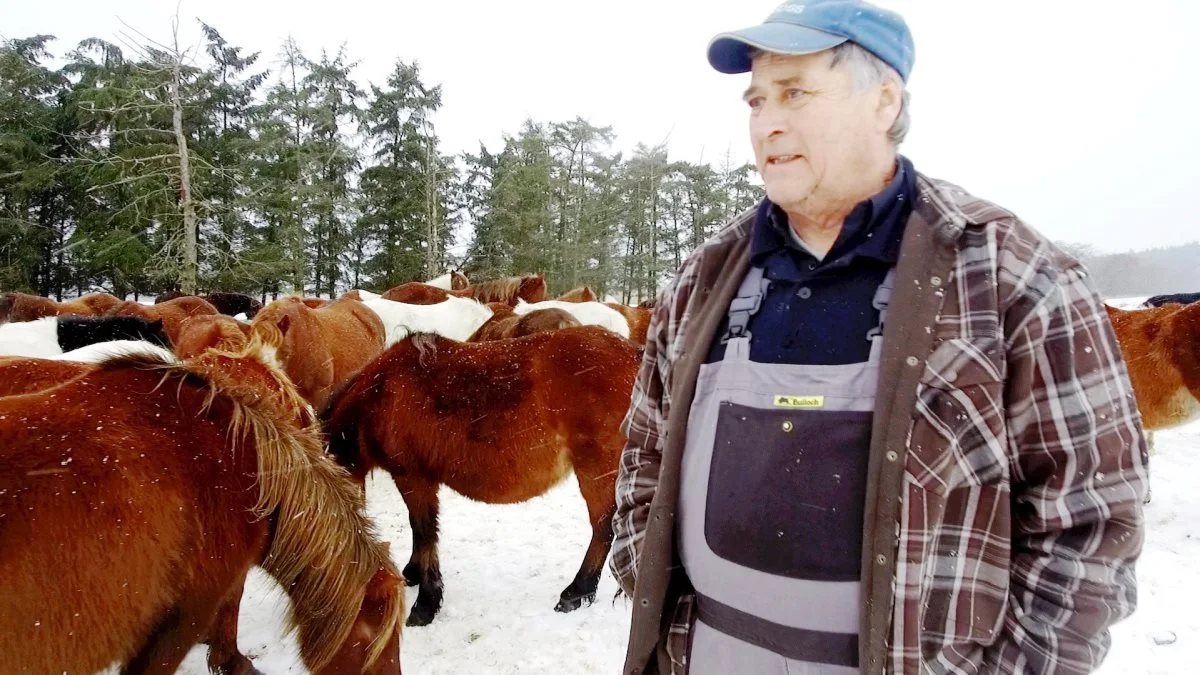 Ulf Nielsen fortæller selv, at det først og fremmest er af princip, at han har valgt at anke sin bødestraf på 15.000 kroner til Landsretten. Arkivfoto: Alexander Dornwirth