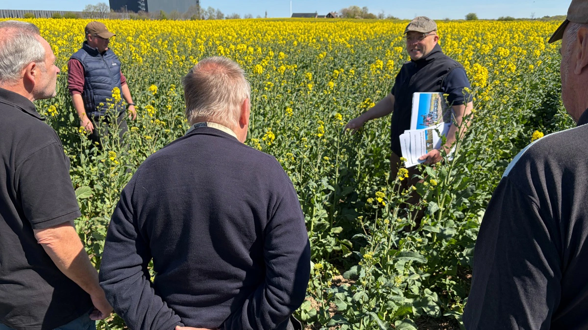 Der blev lyttet interesseret til planteavlskonsulenternes nylige erfaringer. 