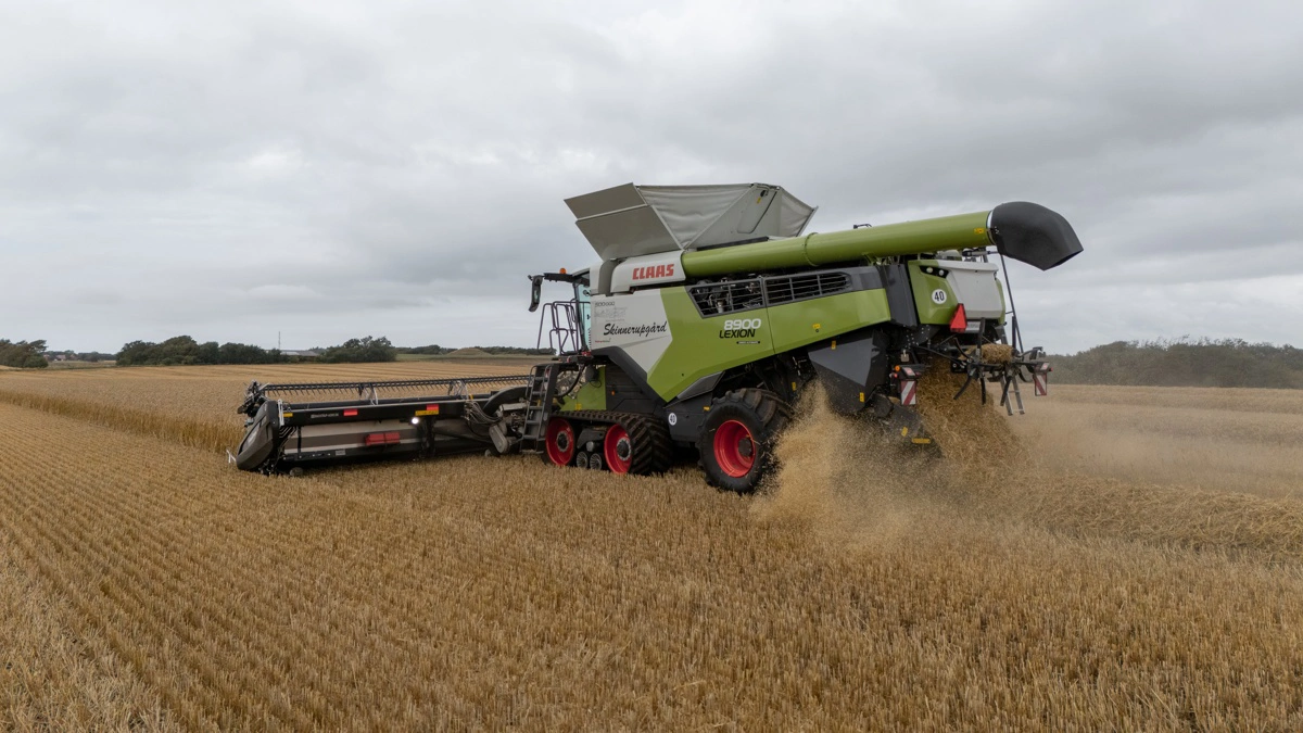 Ifølge Thomas Kristoffersen leverer LEXION 8900 TT en ren og fin råvare i tanken, samtidig med at halmen behandles skånsomt og er nem at håndtere efter høst.
