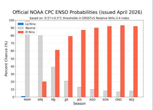 Figur 1: En overgang fra La Niña til ENSO-neutrale forhold forventes i løbet af den næste måned. ENSO-neutrale forhold er mest sandsynlige i perioden maj–juli 2026 (55 pct.). Fra juni–august 2026 er der sandsynlighed for, at El Niño udvikler sig (62 pct.) og fortsætter mindst frem til udgangen af 2026.