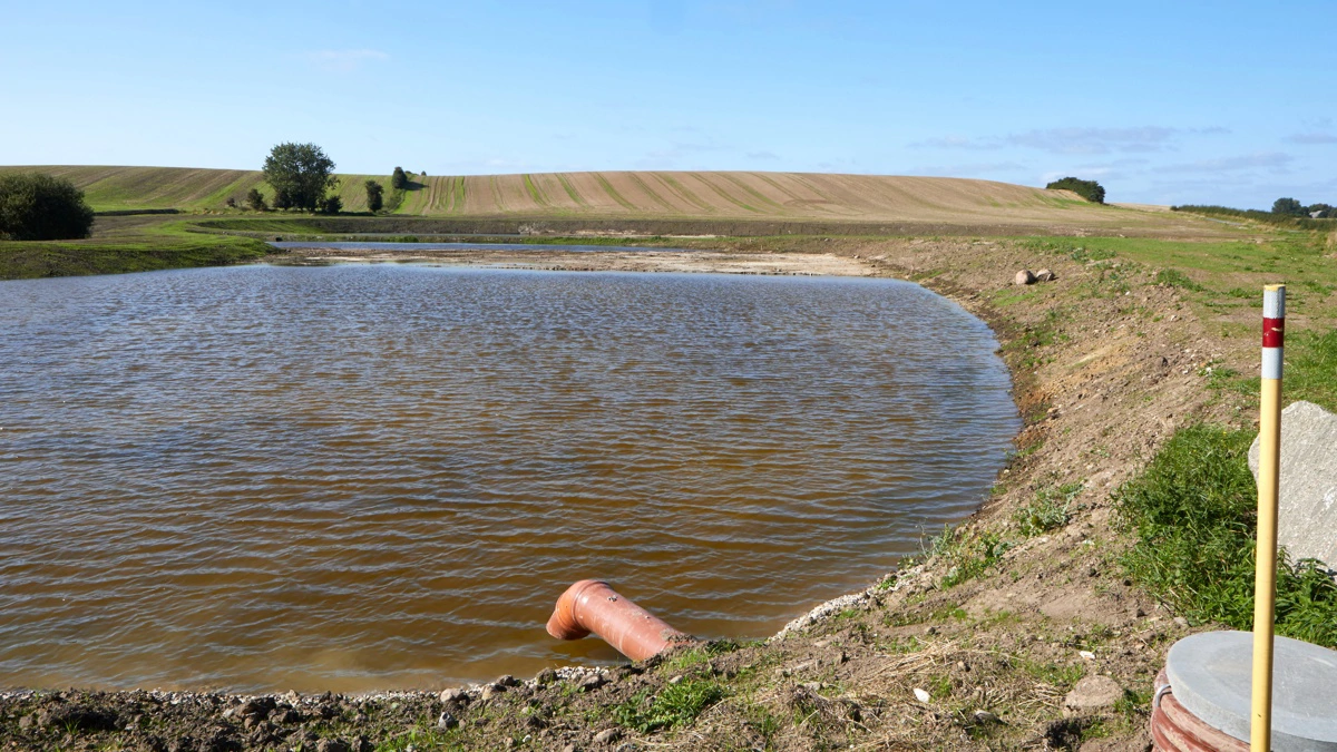Kollektive virkemidler som minivådområder, vådområder og lavbundsprojekter er ofte langt mere omkostningseffektive end regulering på markfladen. Foto: Erik Hansen