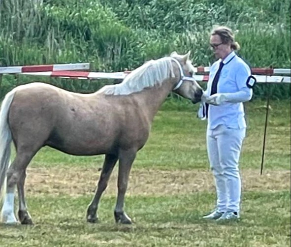 - Da jeg startede, var vi ikke ret mange udstillere. I dag bliver vi flere og flere, og det er rigtig positivt, siger Dorthe Voss.