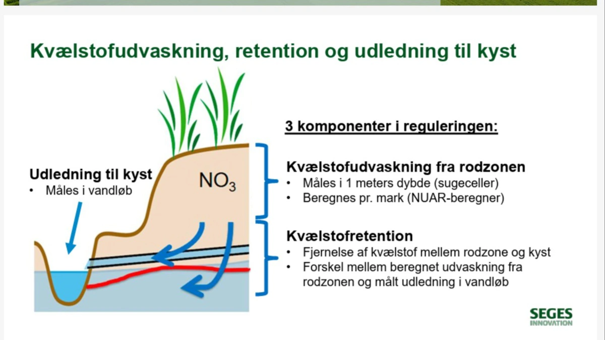 - Der indgår tre hovedelementer i reguleringen. Det ene er kvælstofudvaskningen – hvor mange kg kvælstof der forlader rodzonen i en mark. Så er der retentionen – det er, hvor meget af det kvælstof, som forlader rodzonen, der ender i kystvande – og så er der udledning til kyst, forklarede Nanna Hellum Kristensen.