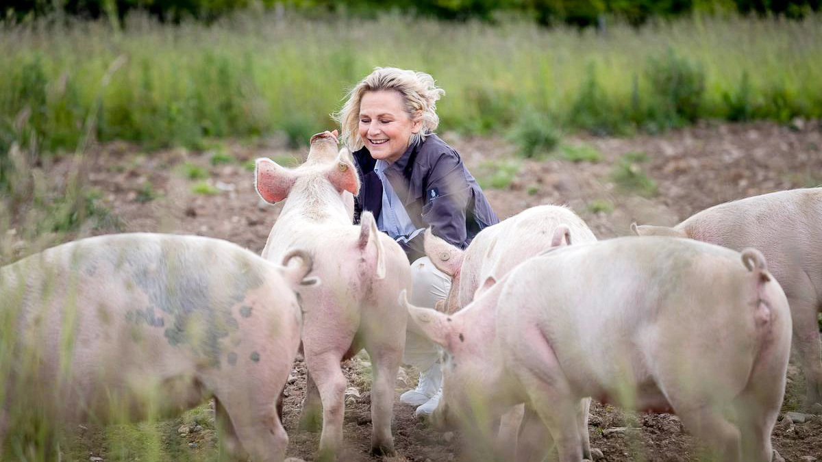 Hun har mange holdninger, Britta Riis. Ikke mindst omkring griseproduktionen i Danmark. Nu bliver formanden for Dyrenes Beskyttelse medlem af bestyrelsen i Økologisk Landsforening. Foto: Dyrenes Beskyttelse
