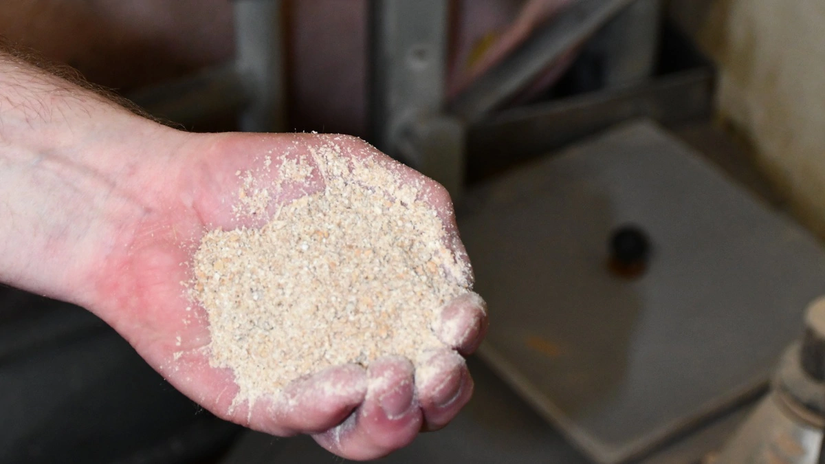 Foderadditivet blev fra start tilsat med den vejledende mængde fra producenten i Finland med 1 kg pr. ton færdigfoder. I dag tilsættes 1,5 kg pr. ton.