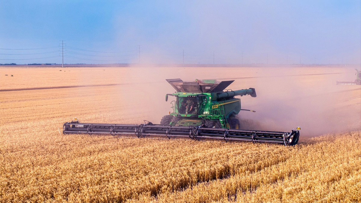 Canadas hvedeproduktion falder 10 procent, hvilket kan stramme verdensmarkedet og støtte danske hvedepriser. Arkivfoto: Jørgen P. Jensen