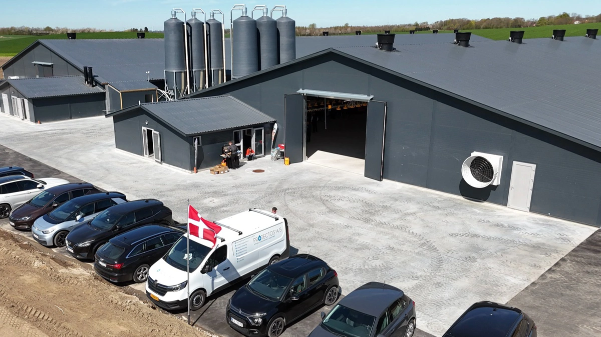 Griseproducent Ole Moesgaard Andersen har opført to kyllingehuse på godt 6.000 kvadratmeter i Midtjylland. 
