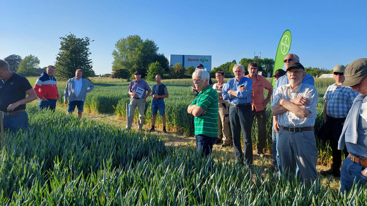 Forsøgsmarkerne ved Danish Agro i Nr. Søby danner igen i år rammen om MarkTræf. Foto: Camilla Bønløkke