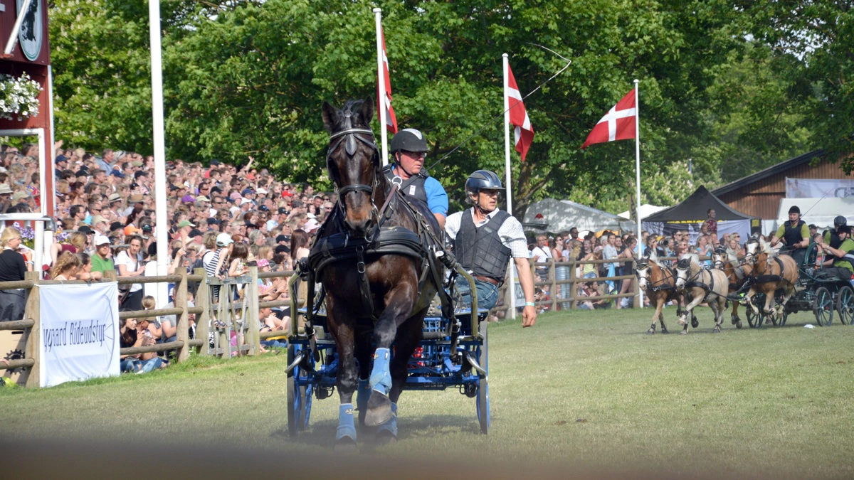 Hesteshowet tiltrækker altid mange tilskuere, og det anbefales derfor at komme i god tid, hvis man ønsker en god plads på tribunerne omkring Ring 1. Arkivfoto: Jesper Hallgren