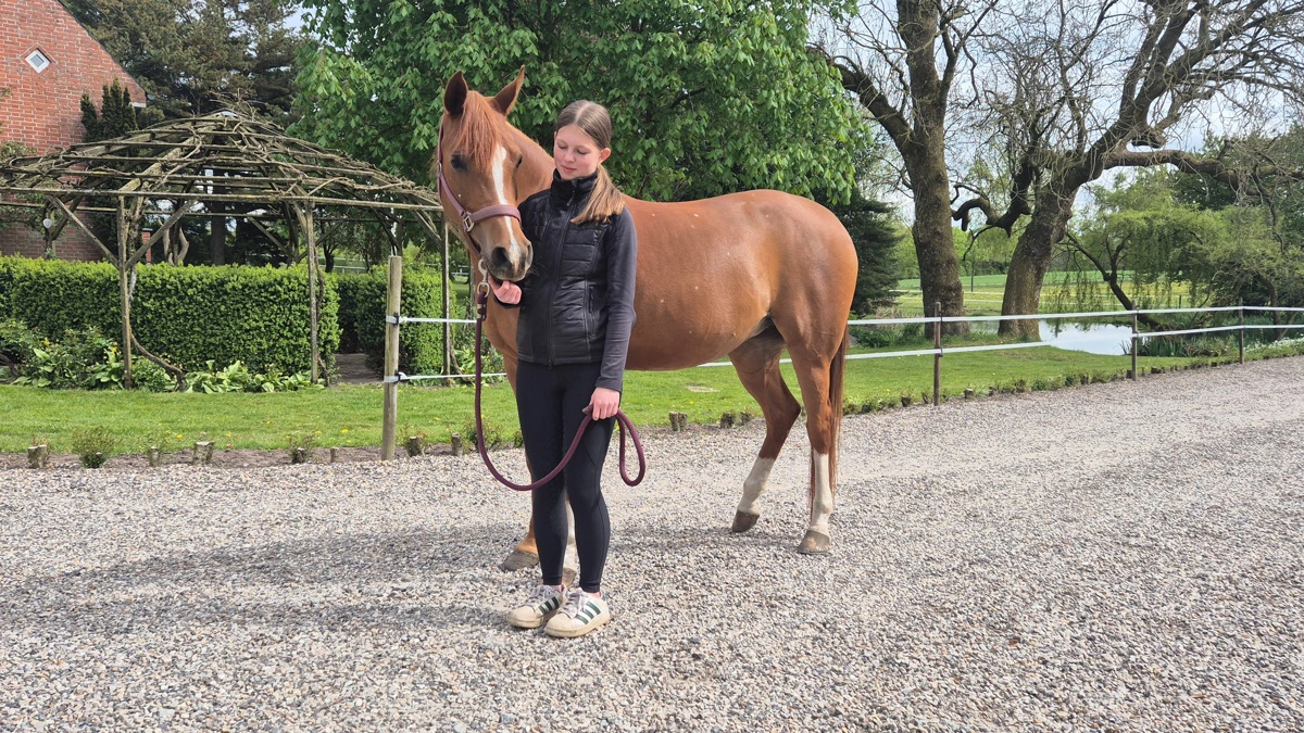 Freya Vinther Kristensen skal ikke alene deltage i Hobro Dyrskue. Forude venter både DM og EM med Equna Asil (Kuna Asil x Equator).