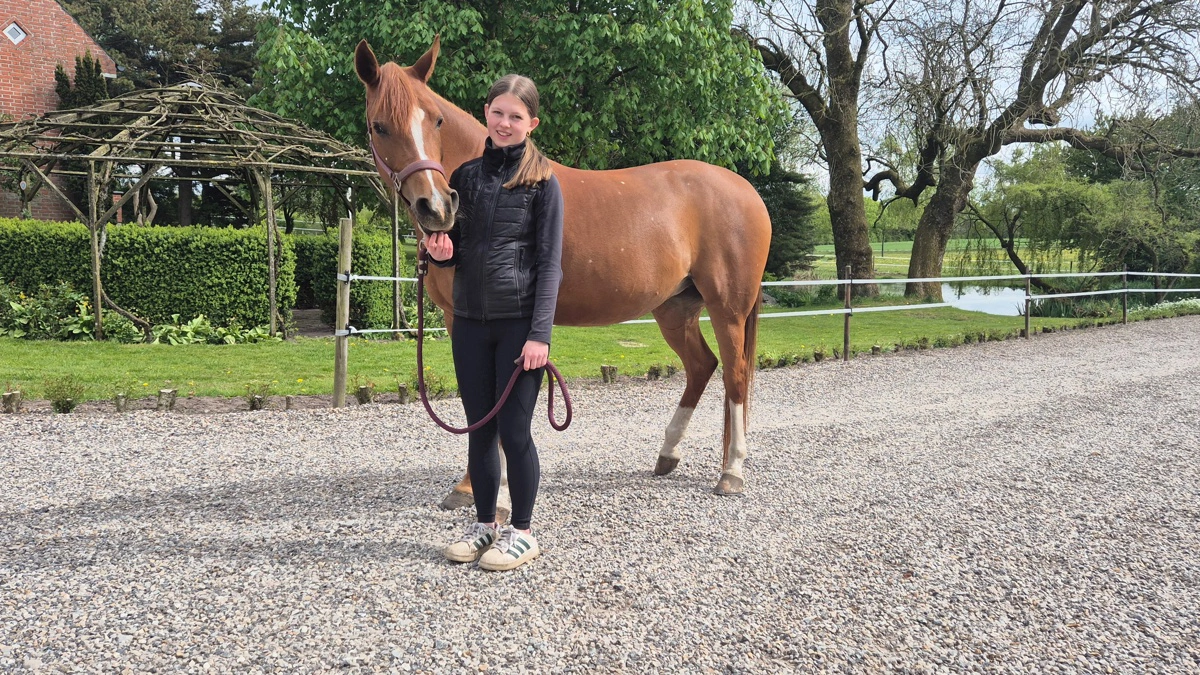Freya rider distriktsstævner på Equna Asil. Og de skal også med til EM for arabere i Polen til sommer.