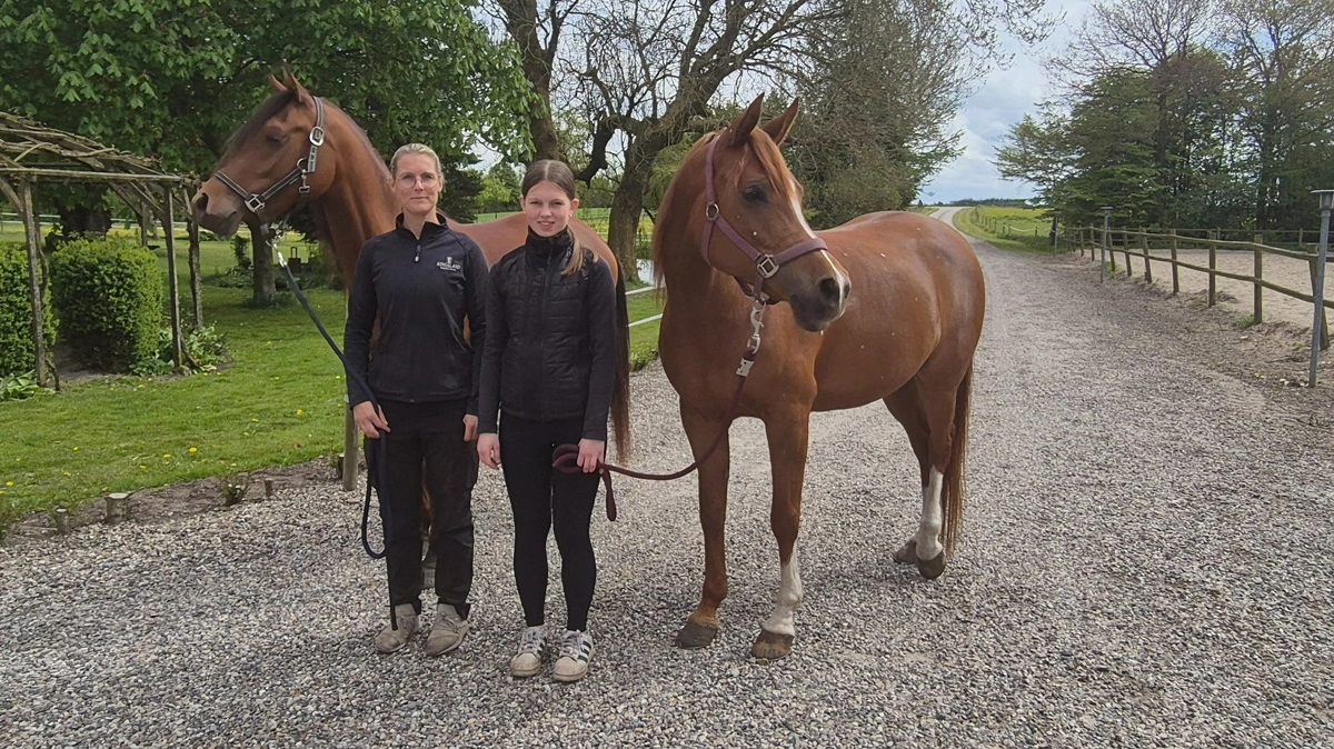 I år er det andet år, hvor familien tage deres heste med til Hobro Dyrskue. I år kommer de med Equna Asil (Kuna Asil x Equator) og den unge Zmilla (Zyma Asil x Thee Fifth Element), som Trine Vinther Kristensen her holder.