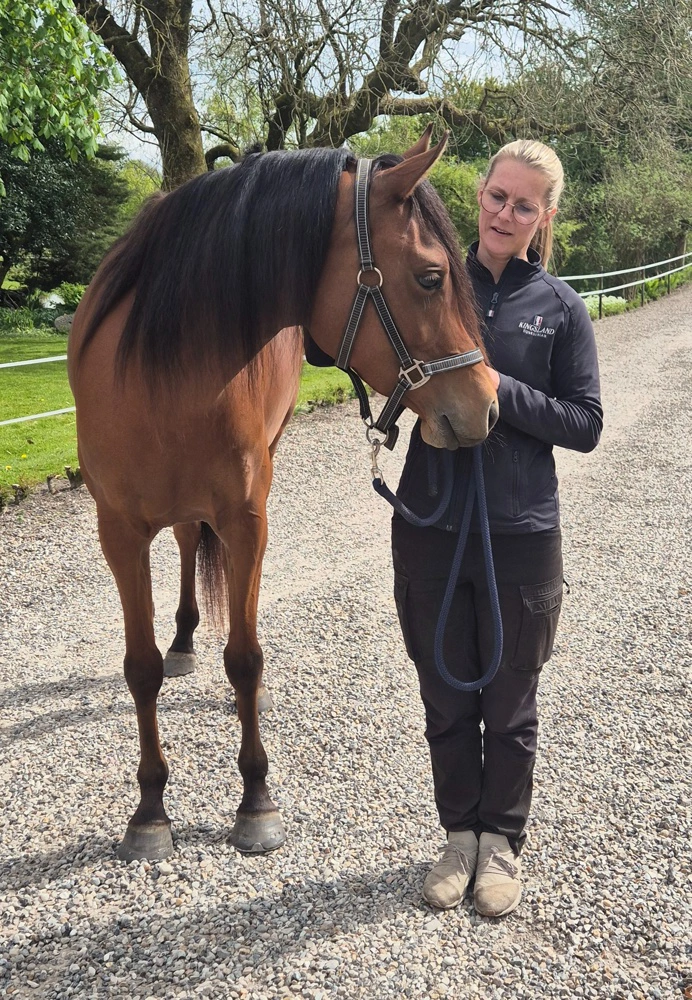 Trine Vinther Kristensen startede på en krydsningspony - i dag går alt hendes fritid med OX Arabere. 