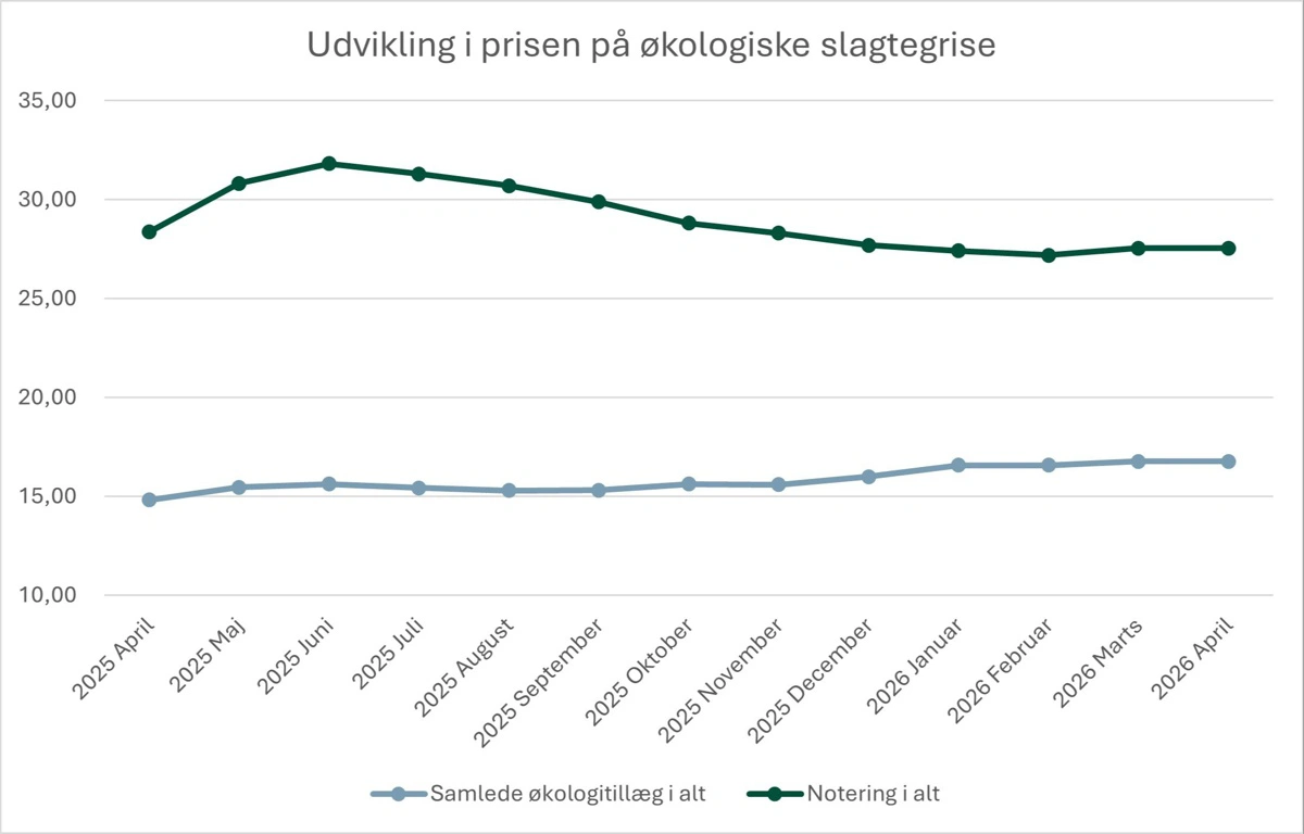 Figur 2: Udvikling i økologitillægget og samlet notering for økologiske slagtegrise i 2025/2026 (kroner pr. kg inklusiv efterbetaling og regulering). Kilde: Farmtal-Online og Friland. 