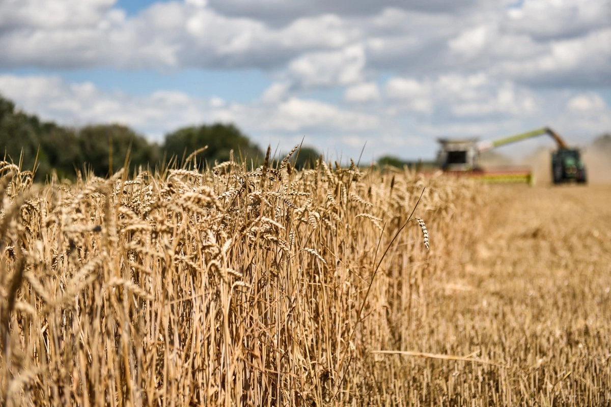 FirstFarms driver udlandslandbrug i Slovakiet, Ungarn, Tjekkiet og Rumænien. Foto: FirstFarms