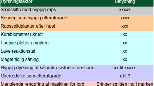 Smitteveje for kålbrok. Kilde: Seges Innovation